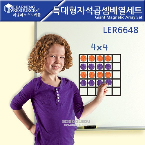 (LER6648) 특대형 자석 곱셈 배열 세트
